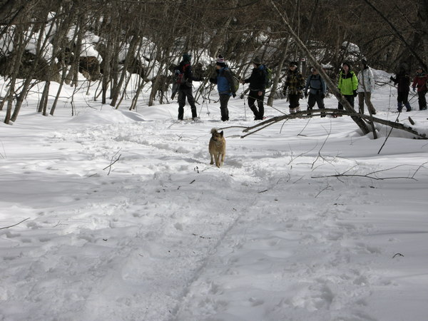 八丁の湯